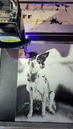 20260212_123040.jpg 20260212_123040.jpg