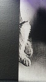 20260212_113049.jpg 20260212_113049.jpg