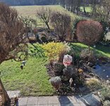 20260215_113106.jpg