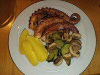 IMG_20260215_120341.jpg