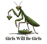 X main-qimg-a867674d36362a420f1f18138ad1ee64.jpg