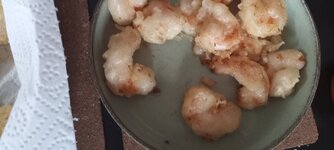 IMG_20260215_160304512.jpg