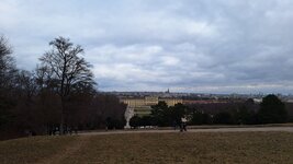 20260215_112843.jpg