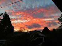IMG-20260215-WA0011.jpg