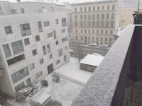 IMG_20260216_114952.jpg IMG_20260216_114952.jpg