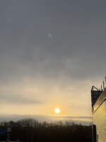 IMG_3131.jpeg