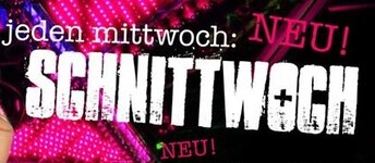 X Schnitt.jpg
