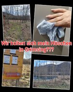 photocollage_2026218131830418.jpg