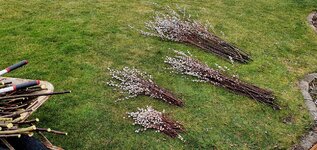 20260218_142207.jpg 20260218_142207.jpg