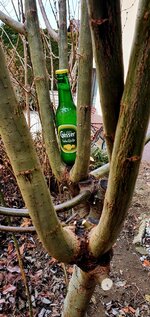 20260218_143042.jpg 20260218_143042.jpg