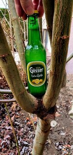 20260218_143029.jpg 20260218_143029.jpg