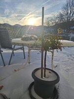 20260101_085705.jpg