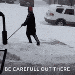 20495.gif