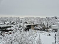 20260220_090203.jpg 20260220_090203.jpg