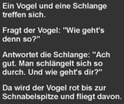 Screenshot 2026-02-19 201633.png