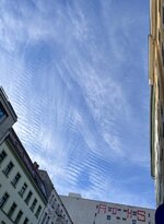 IMG_4092.jpeg