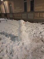 20260221_004044.jpg