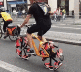 20260221_195214.gif