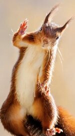 Screenshot 2026-02-21 075057.jpg