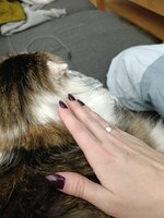 IMG_20260222_214507.jpg