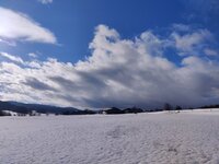 IMG_20260221_151719.jpg
