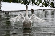 DSC_7088.jpg