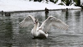 DSC_7090.jpg