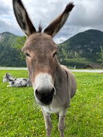 IMG_0305.jpeg
