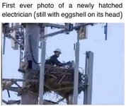 natureiswild - Kopie.jpg