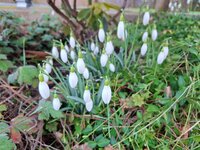 20260225_090834.jpg 20260225_090834.jpg