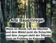 Screenshot 2024-03-03 144510.png