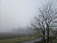 1000117538.jpg