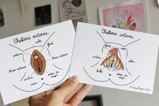 Kompliziert 701_boe4.jpg