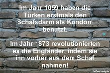 aebed130e91b511b2741b56e164f11a8.jpg