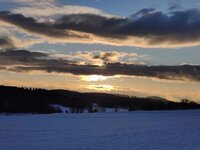 IMG_20260221_165434.jpg