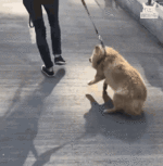 nope-stop-it.gif