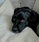 20260224_154028(1).jpg 20260224_154028(1).jpg