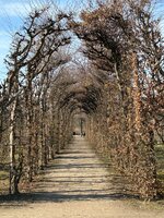 IMG_3225.jpeg
