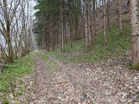 IMG_20260301_150157.jpg