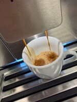 IMG_3761.jpeg