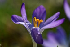 DSC_8332.jpg