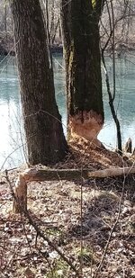 20260303_152536.jpg