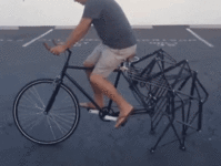 20260222_054944.gif