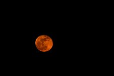 DSC_8574.jpg