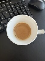 IMG_3806.jpeg