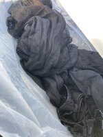 IMG_2942.jpeg