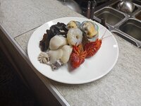 1000042510.jpg 1000042510.jpg