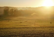 abendstimmung2.jpg