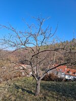 20260306_094014.jpg