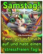 IMG_0153.jpeg